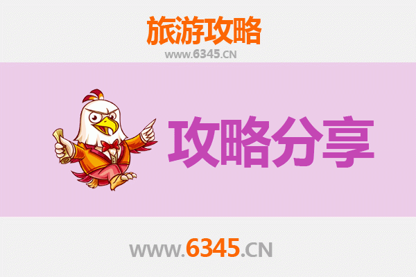 伊宁县旅游攻略：跟团与自由行深度对比